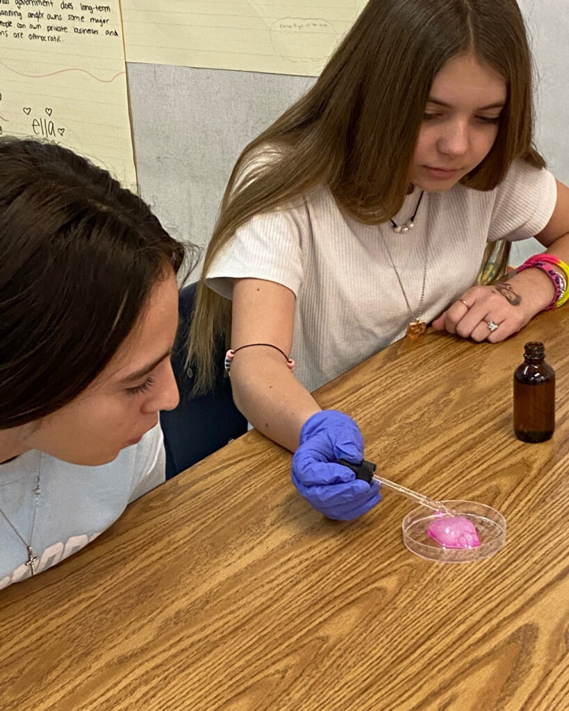 Girl uses an eye dropper on a model heart in a petri dish.