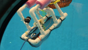 A sea perch robot