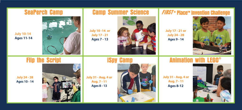 Image showing the 6 different summer camps offered in 2023, Summer Science, Invention Challenge, Animation with LEGO, iSpy, Flip the Script, Sea Pearch.