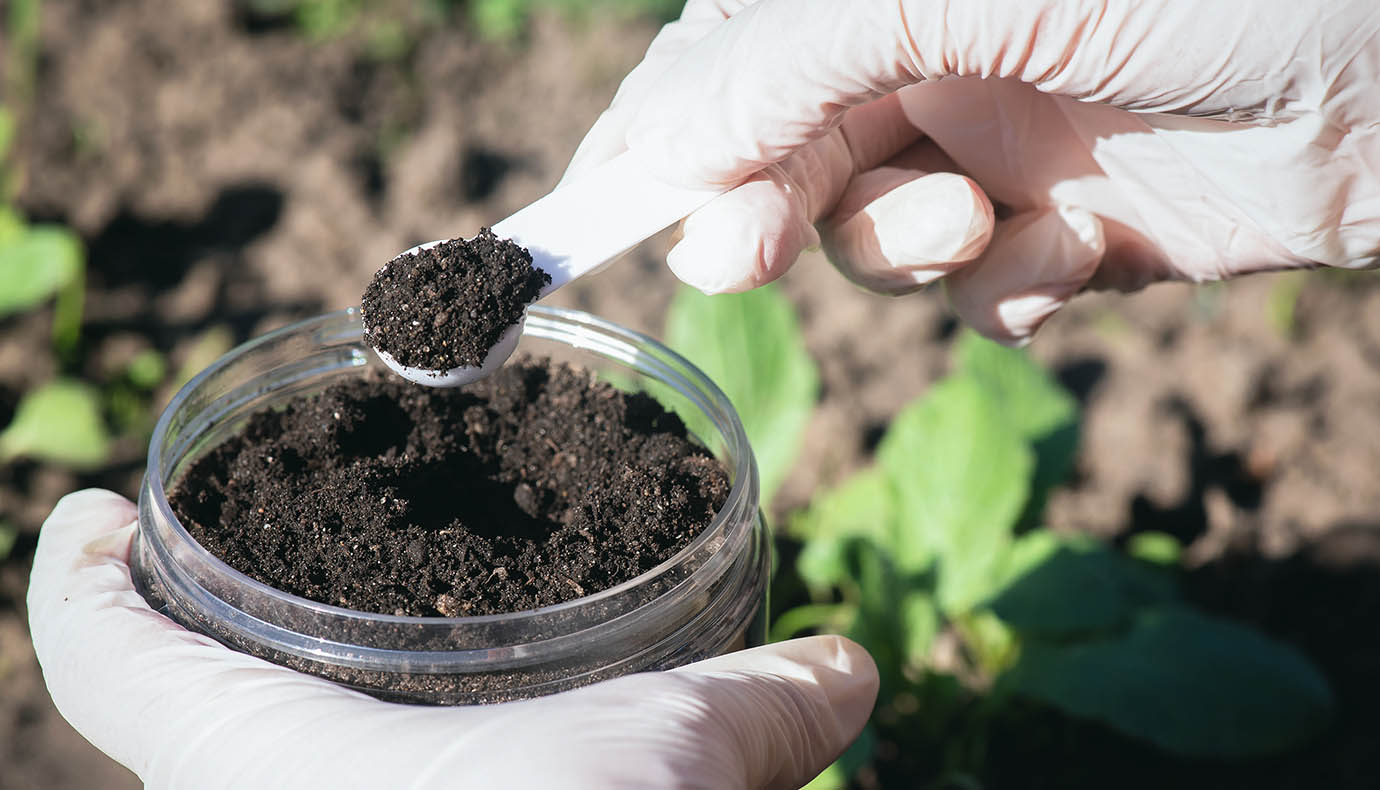 A scientist collecting a soil sample