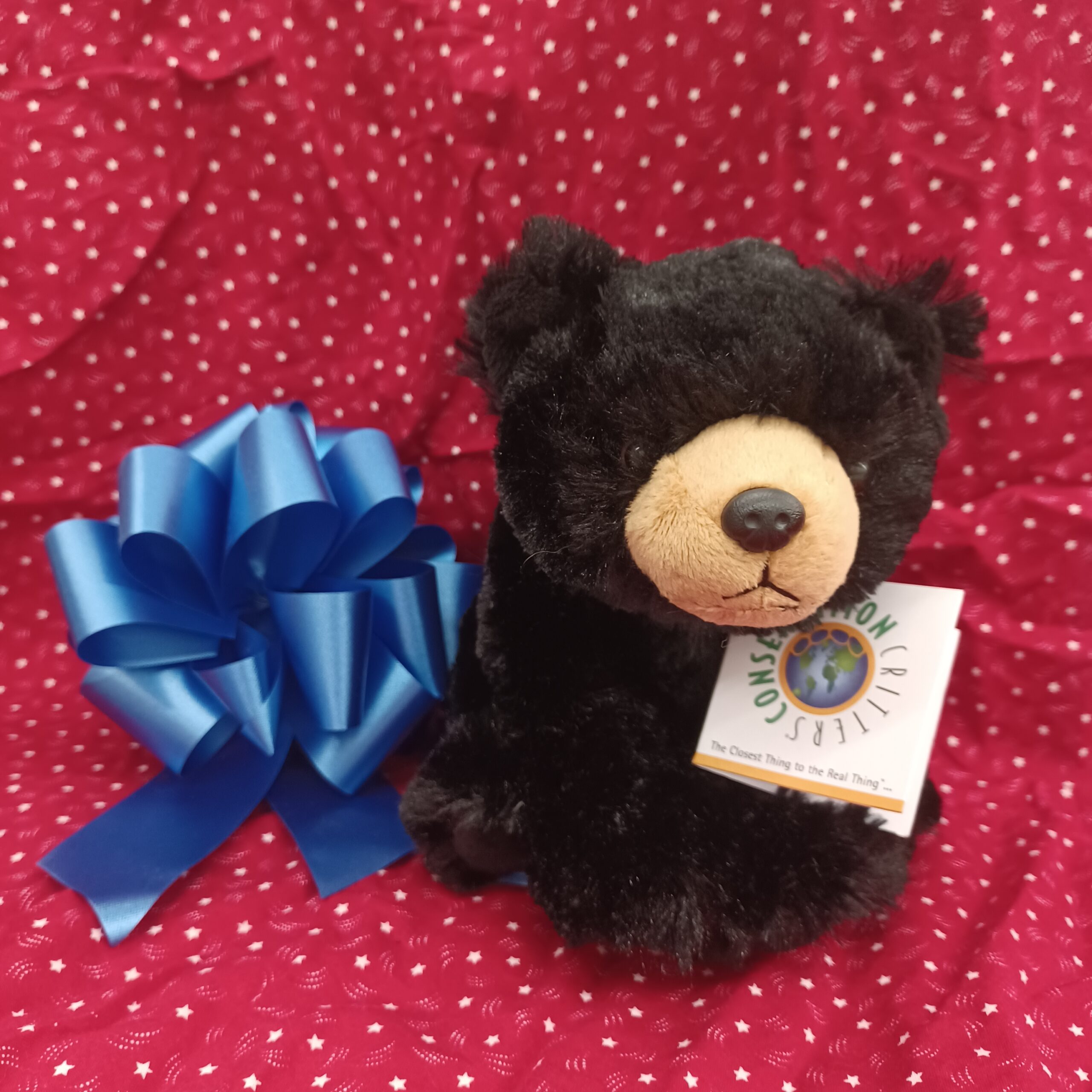 20251103_160559 photo of small stuffed bear.