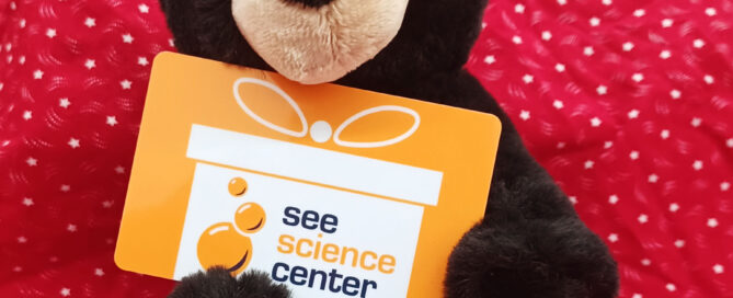 Plush bear holding a SEE membership card and a SEE gift card.